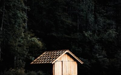 IN THE MIDDLE OF NOWHERE